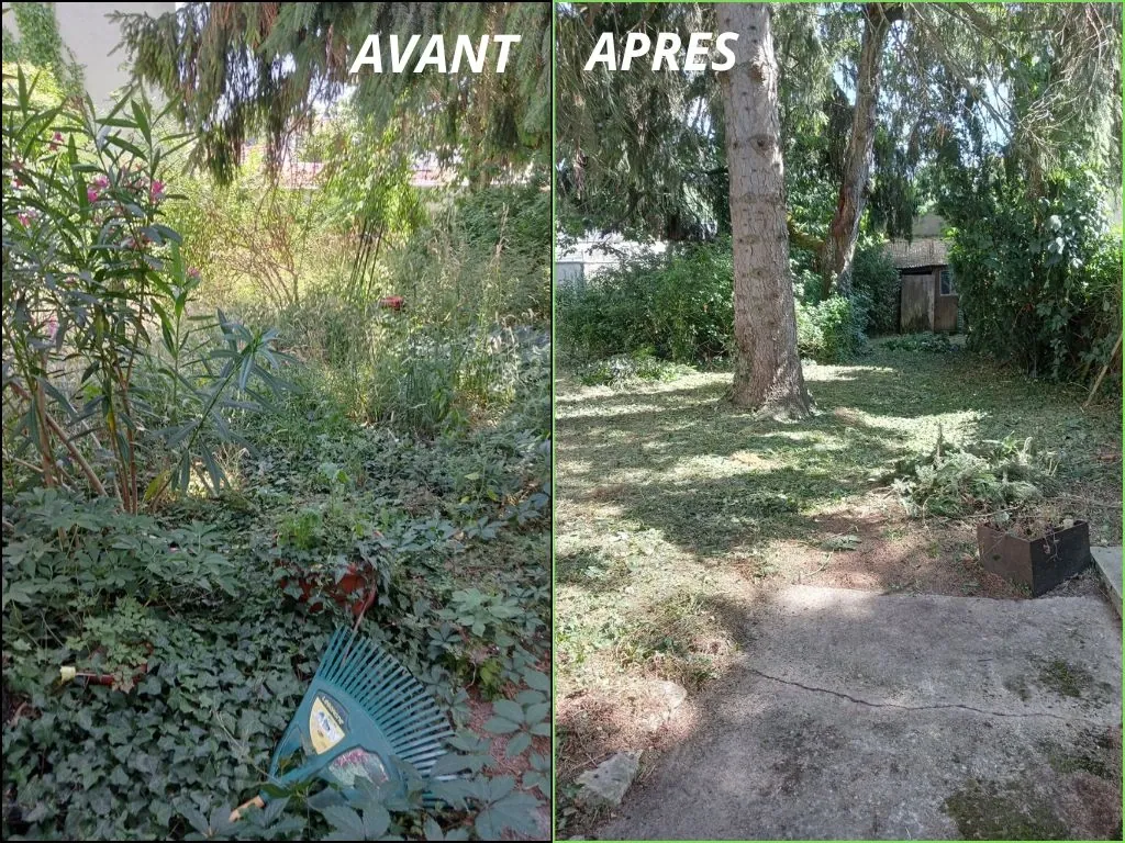 Jardin envahi par la végétation avant et après remise en état