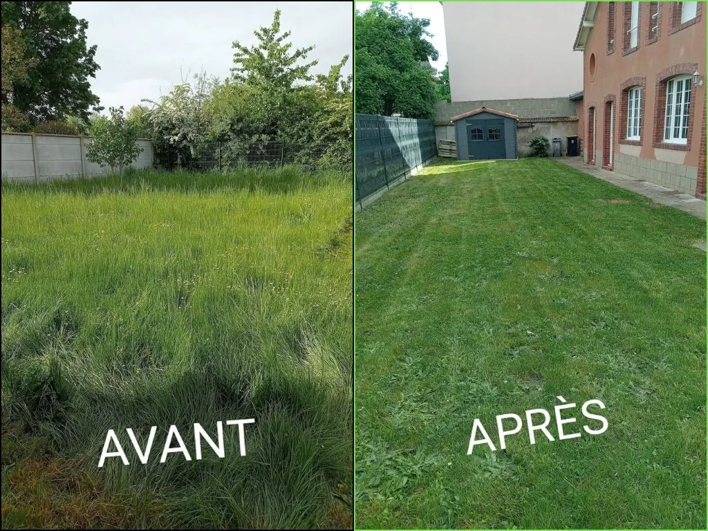 Pelouse avant et après tonte